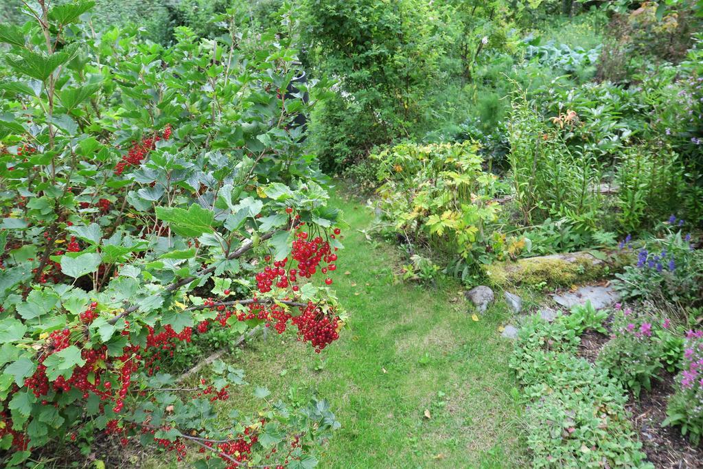 Brigitte'S Bavarian Bed Und Breakfast Millers Landing 외부 사진