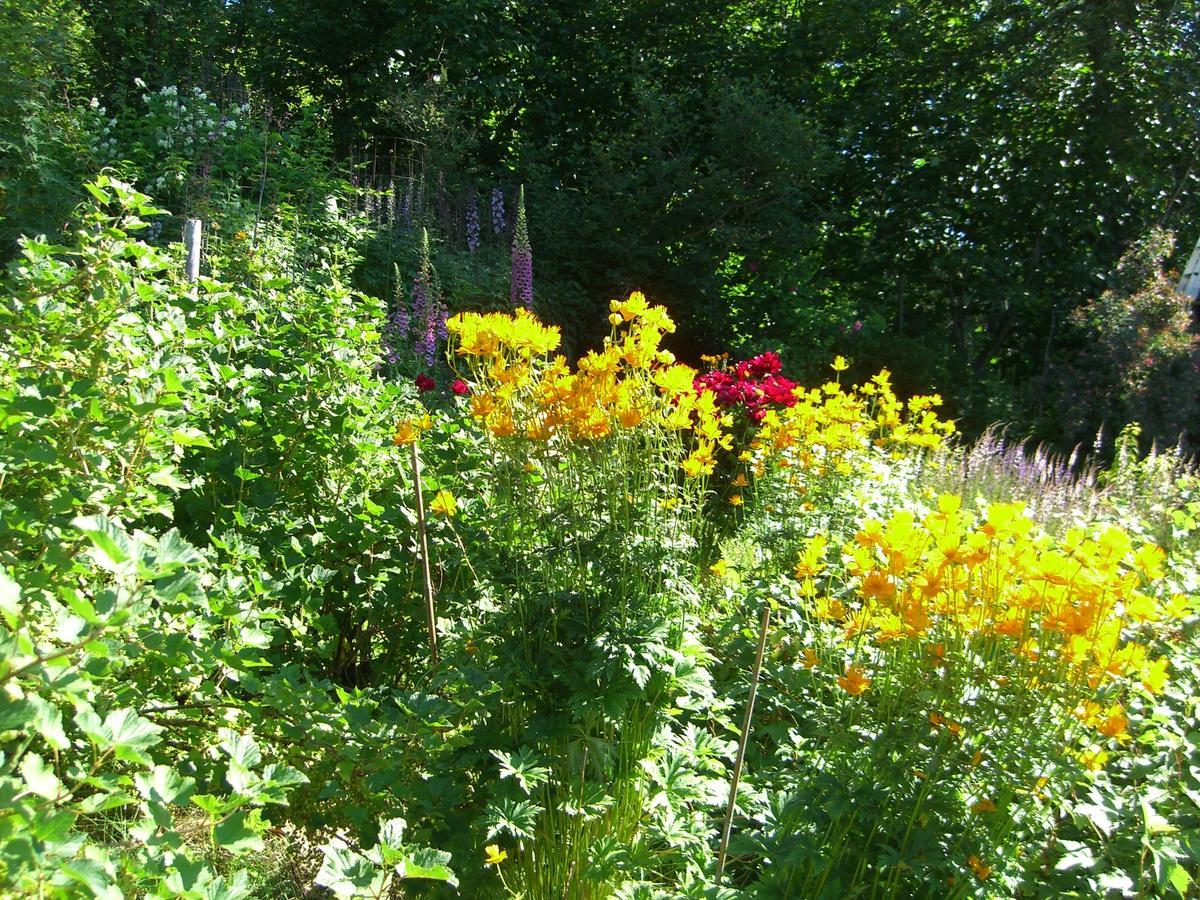 Brigitte'S Bavarian Bed Und Breakfast Millers Landing 외부 사진