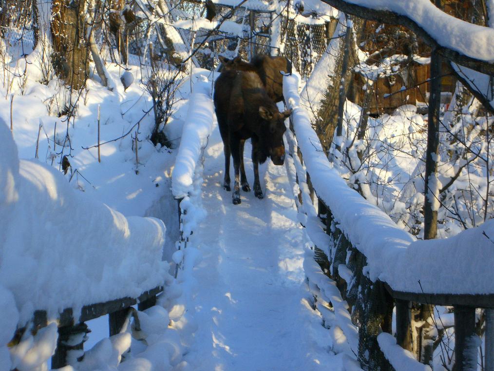 Brigitte'S Bavarian Bed Und Breakfast Millers Landing 외부 사진